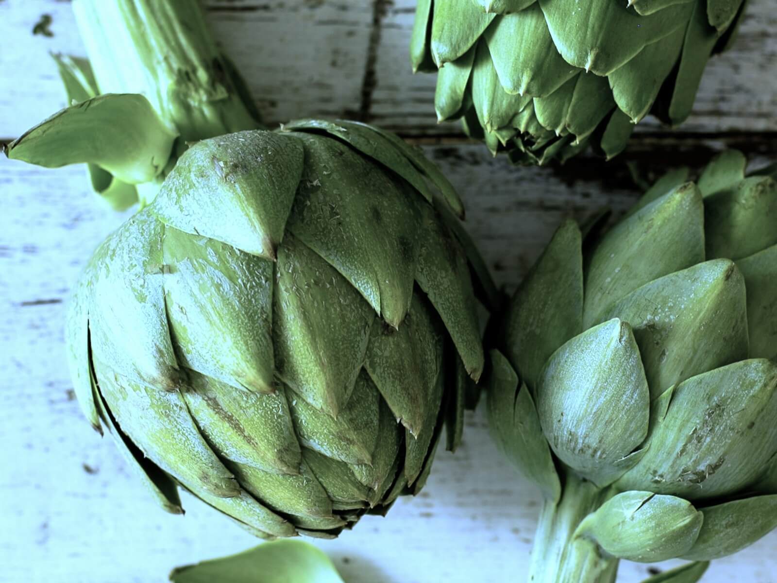 アーティチョーク artichoke