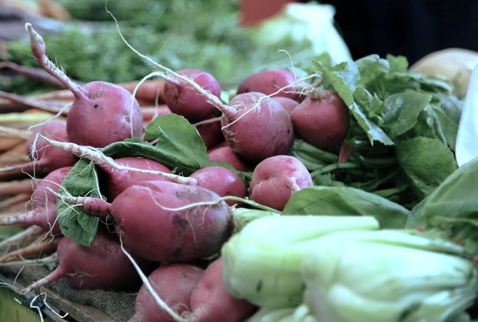 陽性食品　陰性食品